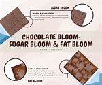 Chocolate Bloom