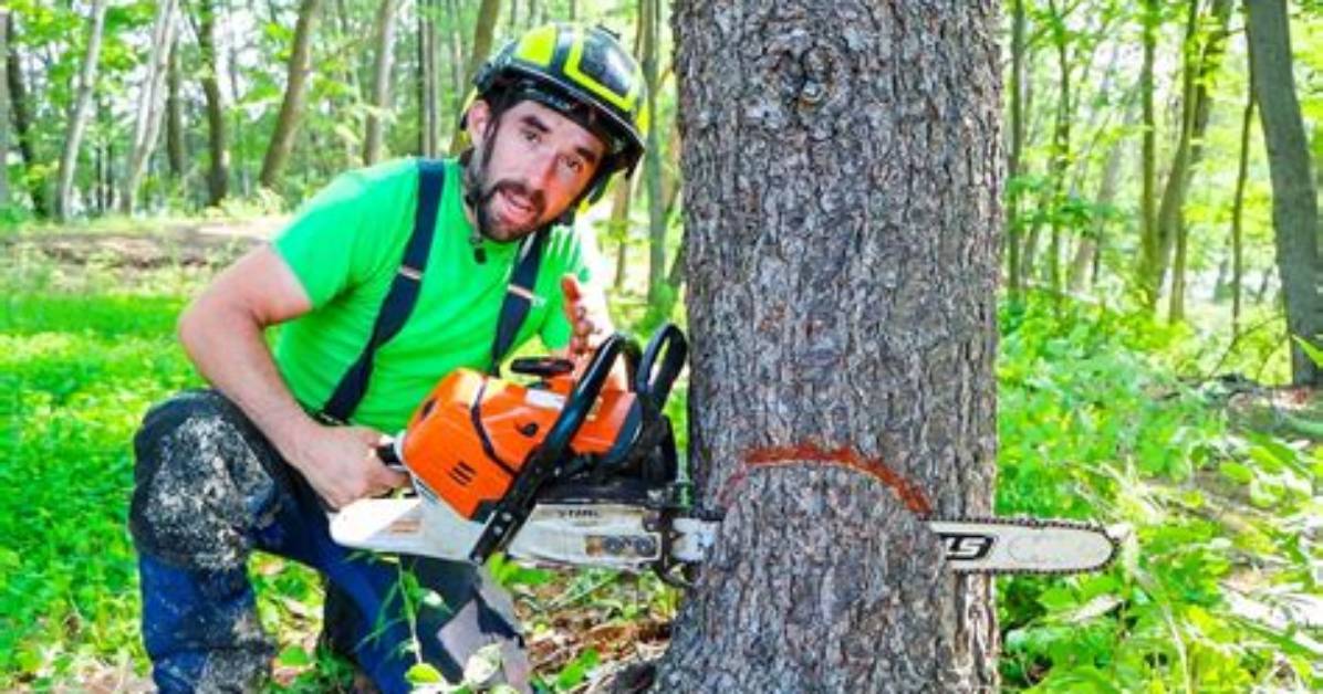 Chop Down as a Tree