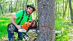 Chop Down as a Tree