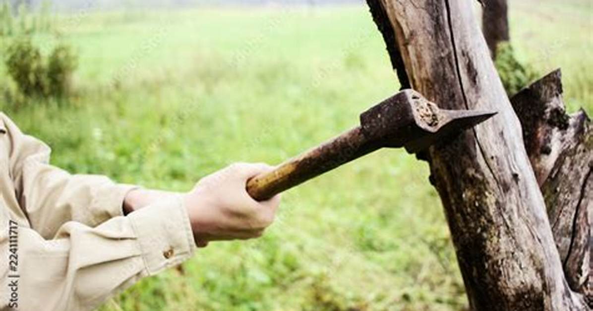 Chop Down as Trees