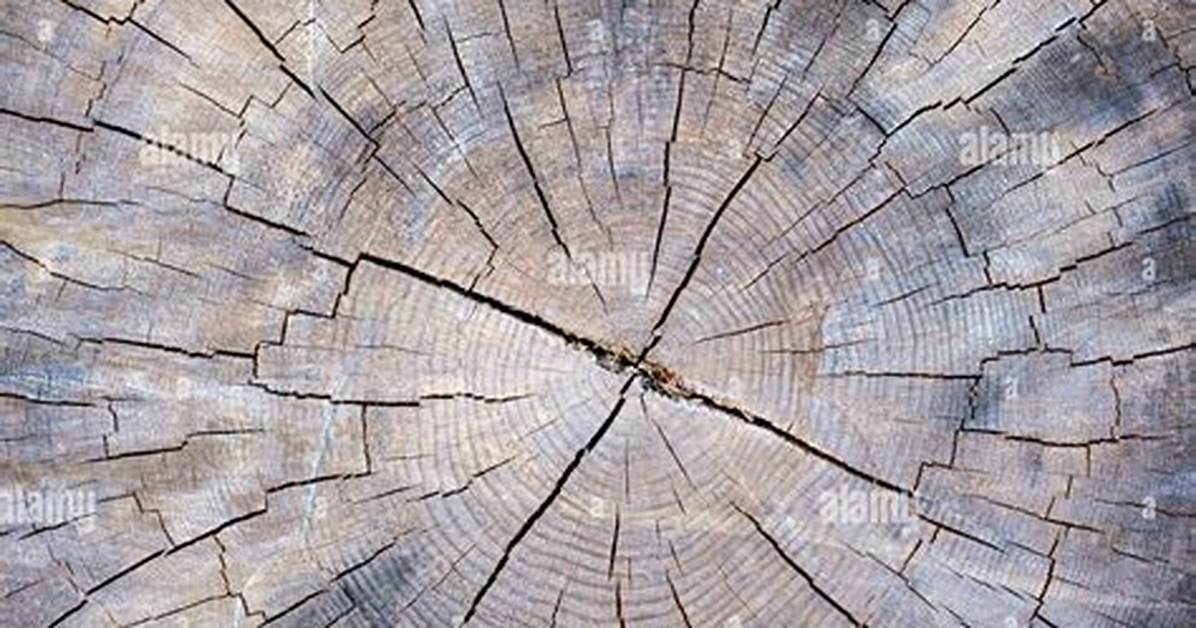 Chopped Down or Fired