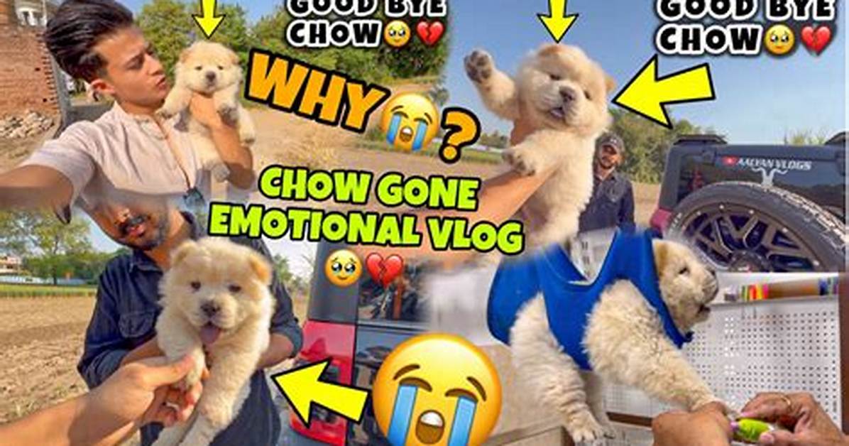 Chow Goodbye