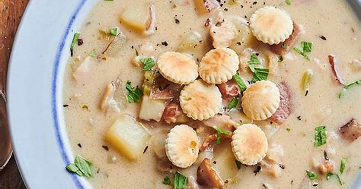 Chowder Mollusk