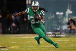 Chris Ivory
