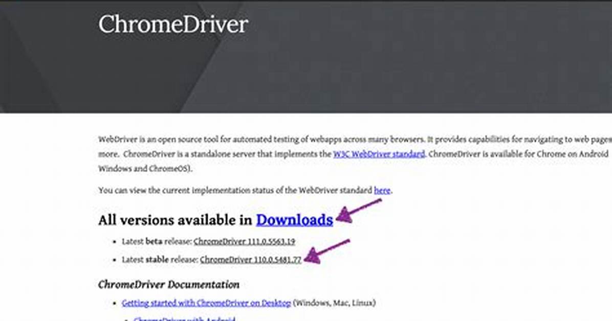 Chrome Driver Download for Selenium