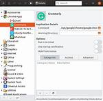 Chrome Web Application: Change Icon