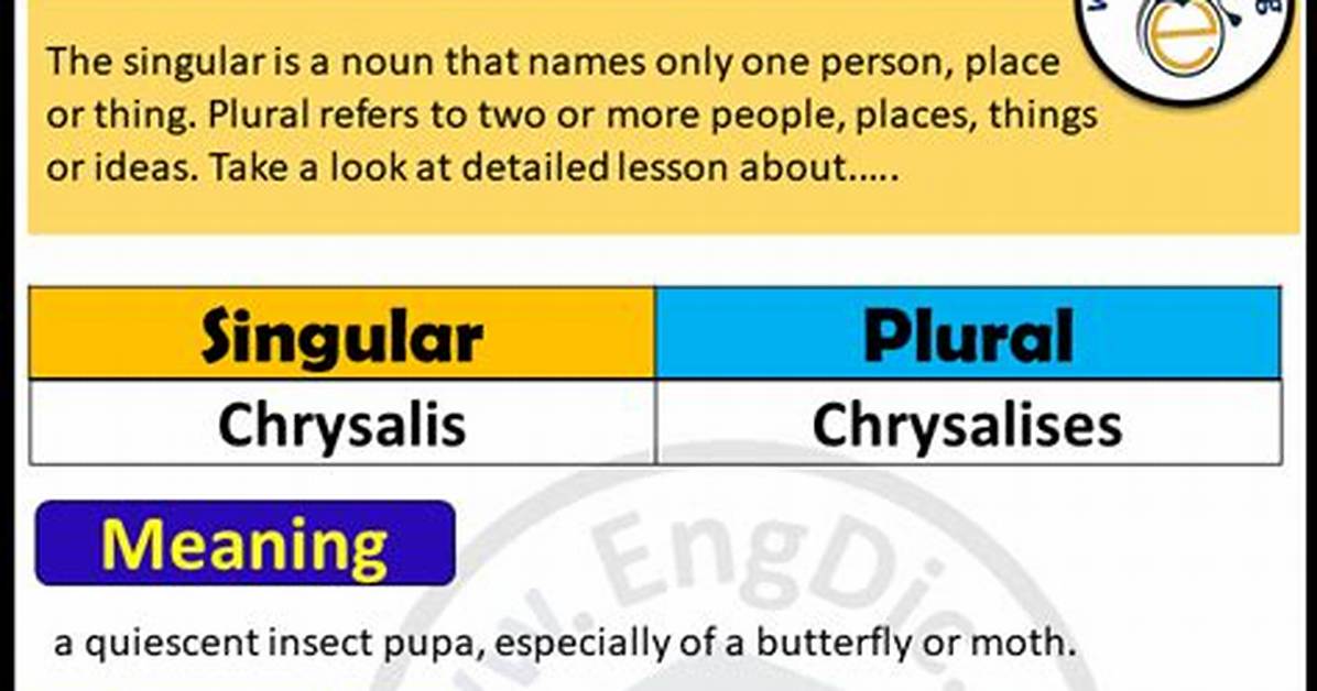 Chrysalis Plural