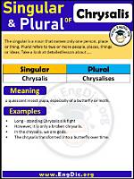 Chrysalis Plural