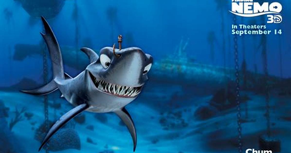 Chum Finding Nemo