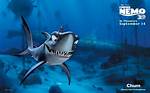 Chum Finding Nemo