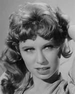 Cindy Robbins