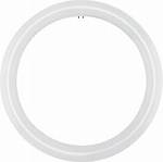 Circular Light Bulb
