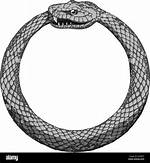 Circular Snake