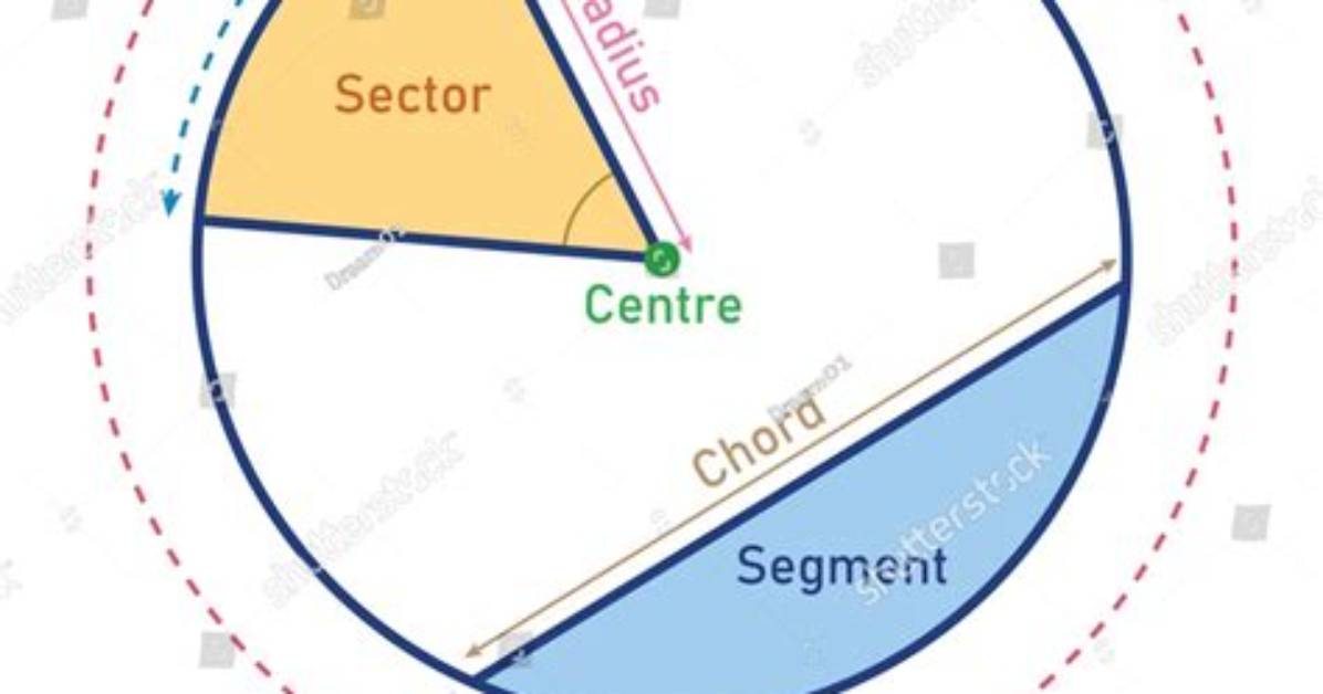 Circumference Segments