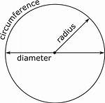 Circumference vs Diameter