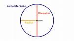 Circumference