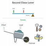 Class 2 Lever