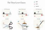 Class 3 Lever