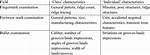 Class Characteristics