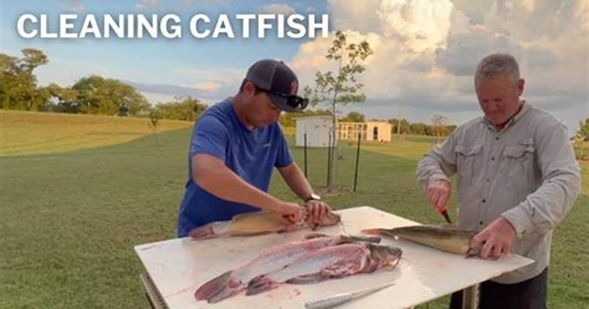 Cleaning Catfish