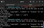 Clear Variable in Python