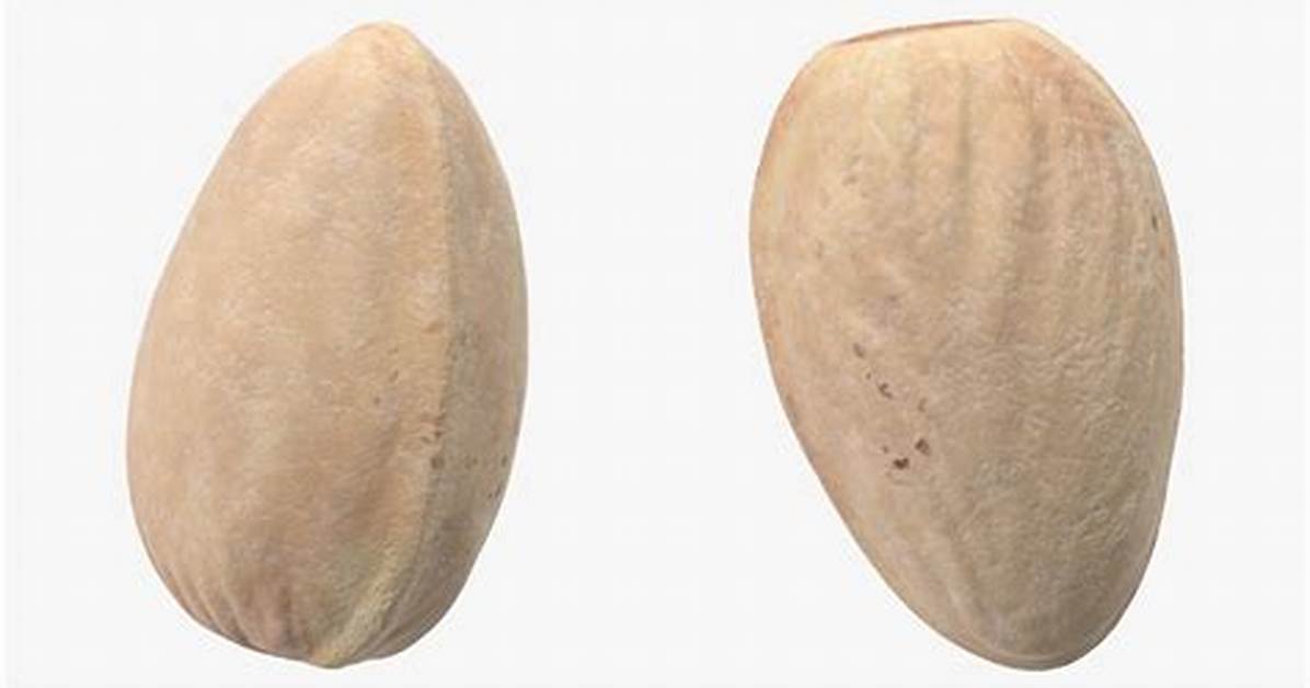 Closed Pistachio