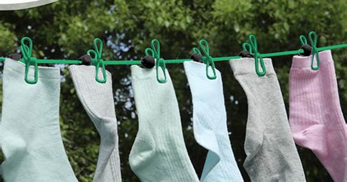 Clothesline Clips