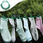 Clothesline Clips
