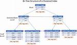 Clustered Index Sql