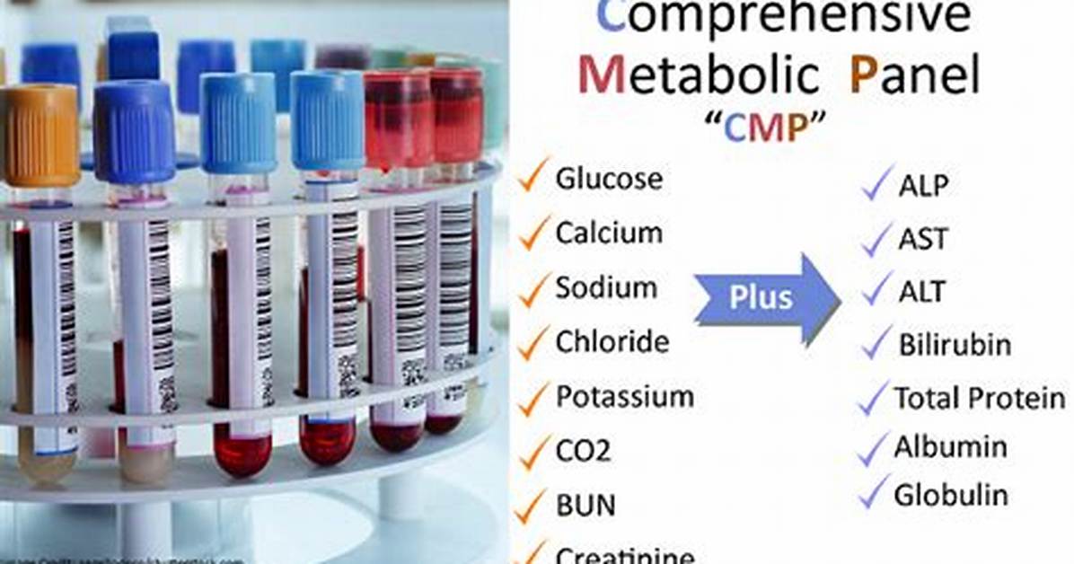 Cmp vs Bmp