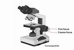 Coarse Focus Knob