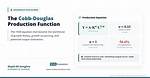Cobb Douglas Production Function Problem