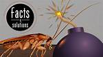 Cockroach Bomb