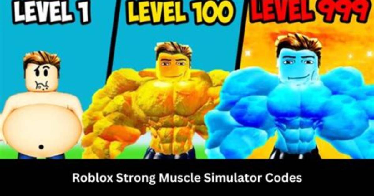 Codes for Muscle Simulator
