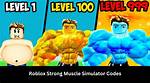 Codes for Muscle Simulator