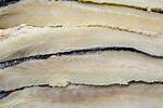 Codfish Net Worth
