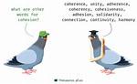 Cohesion Synonym