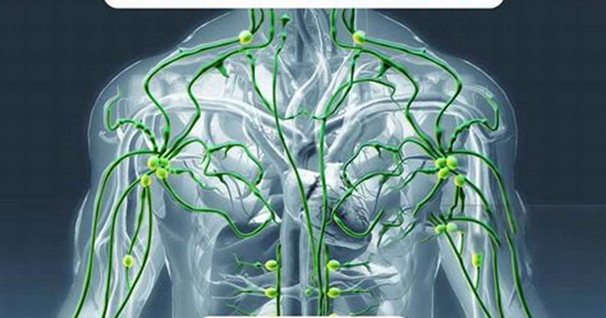 Collarbone Lymph Nodes