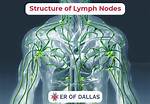 Collarbone Lymph Nodes