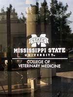 College of Veterinary Medicine | Mississippi State University