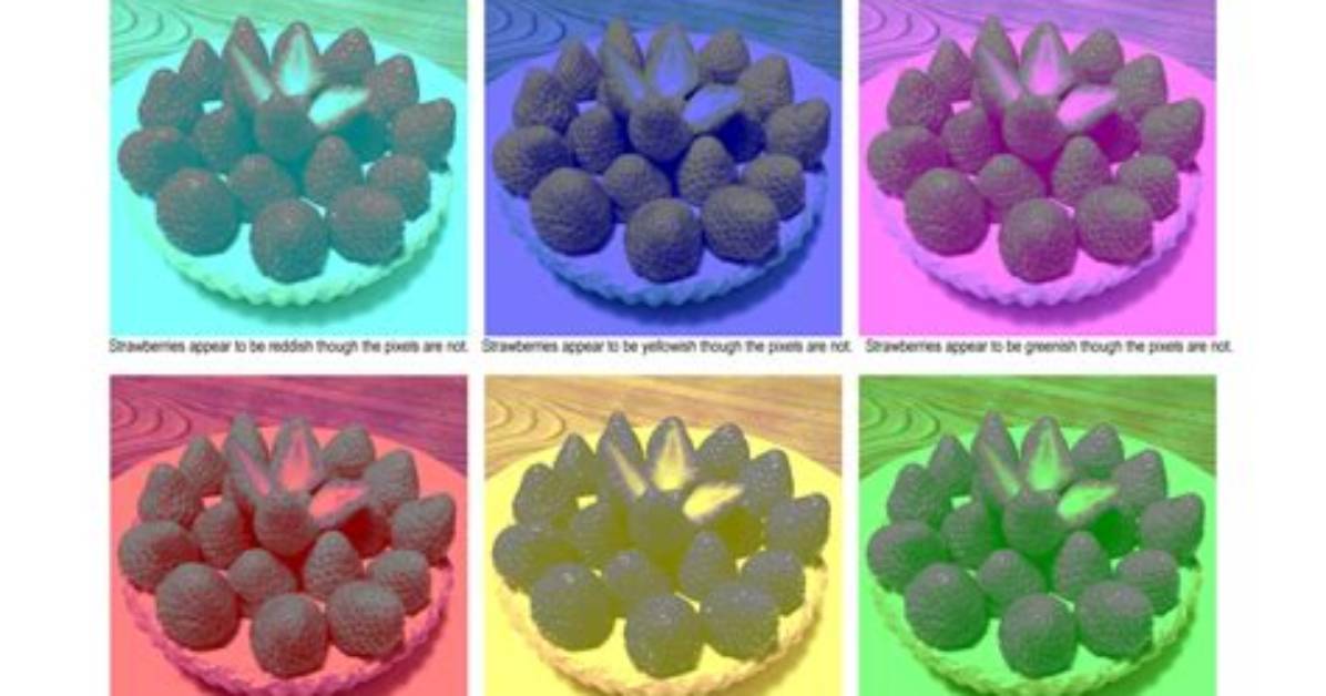 Color Constancy