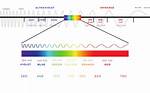 Color Frequency