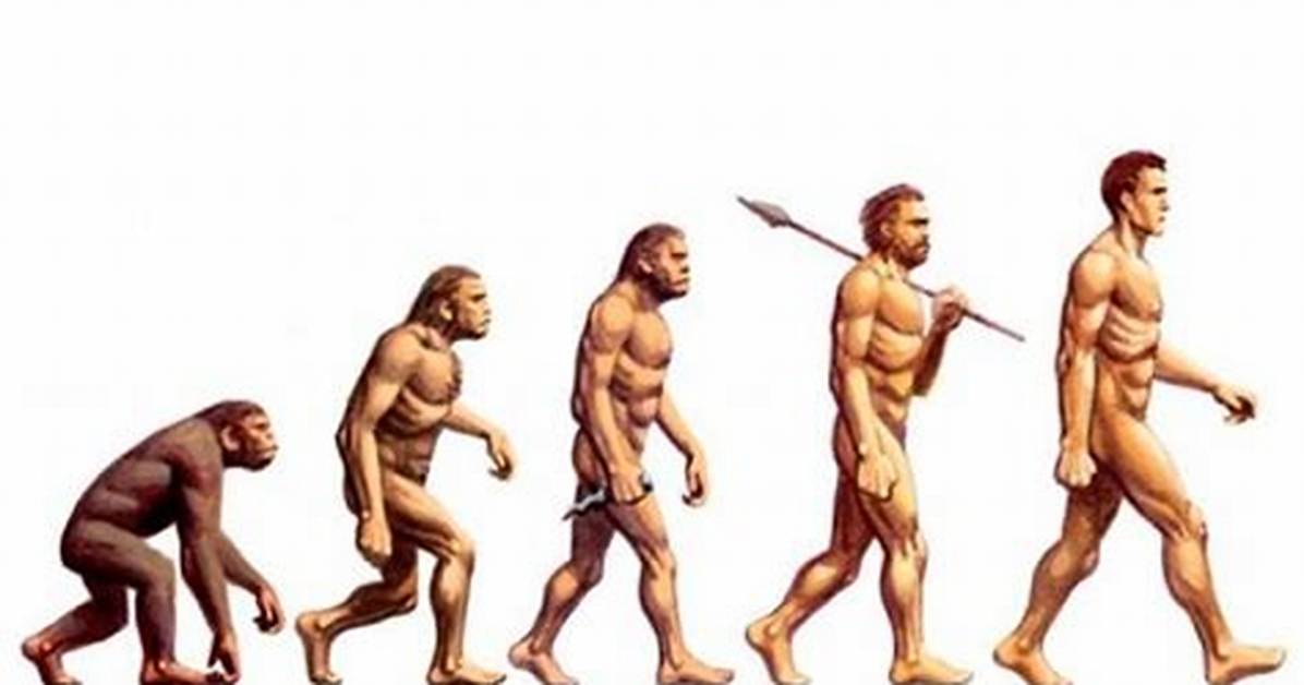 Column: on the Origin of Species