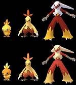 Combusken Evolution