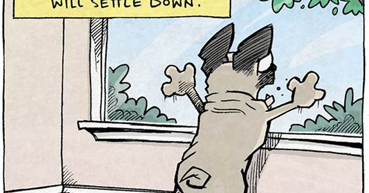 Comic Strip Bark