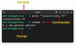 Command Prompt - Shell, Terminal, Console?