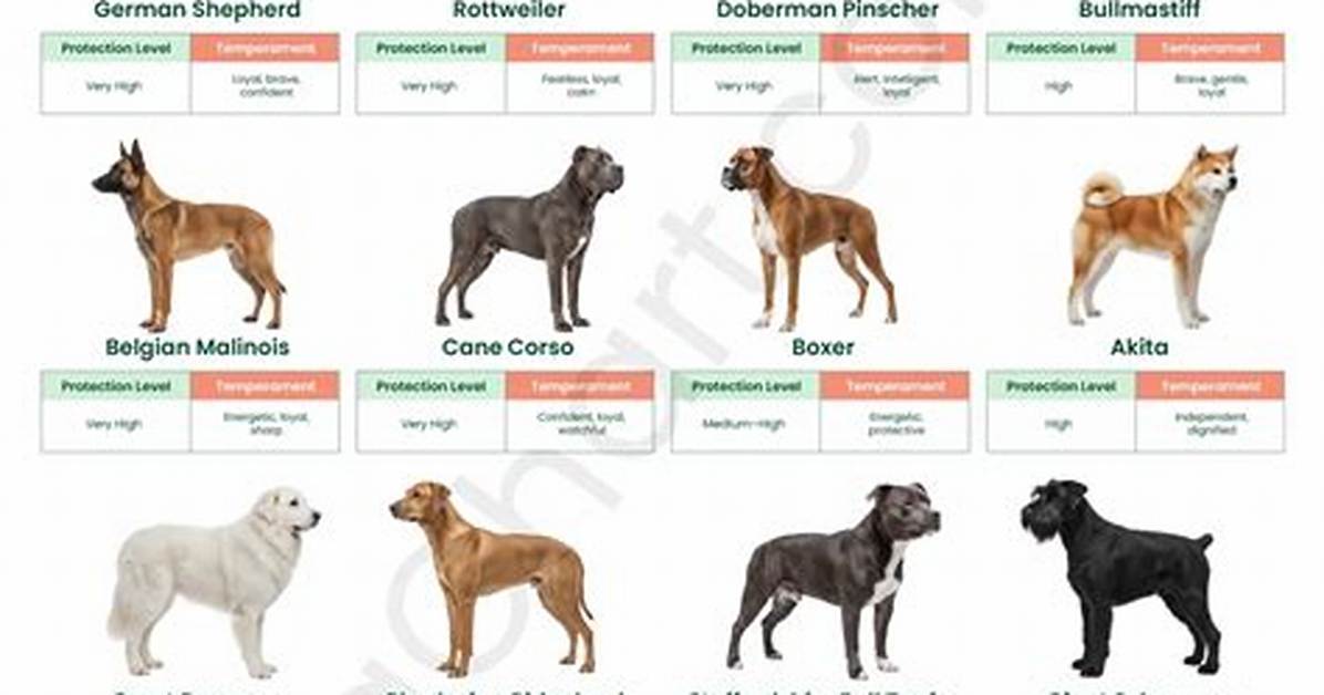 Command to a Guard Dog