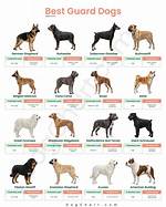 Command to a Guard Dog