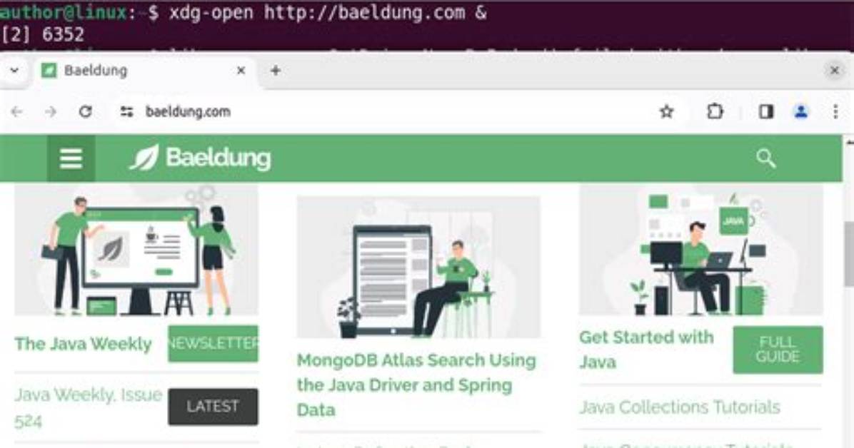 Command to Open a Url