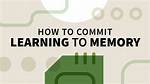Commit to Memory